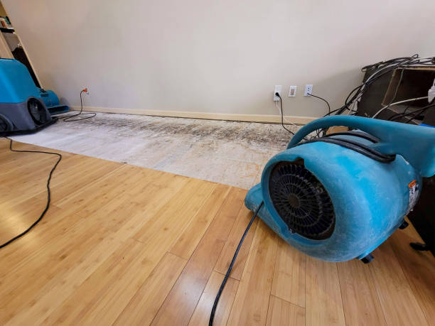 Professional Structural Drying technician working in Winterville, GA